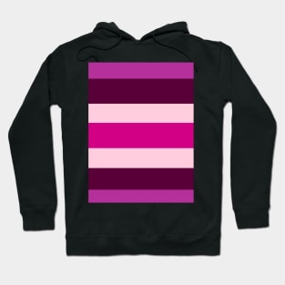 Pink & Purple Stripe Hoodie